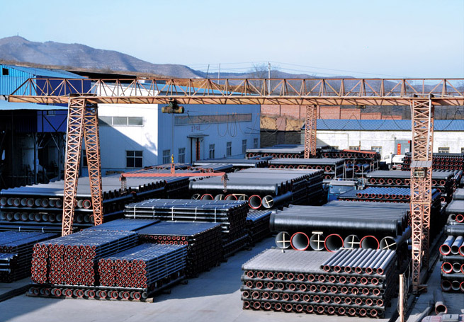 ��ī�T�F��